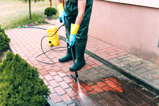 Animal Enclosure Cleaning in Washington, KS